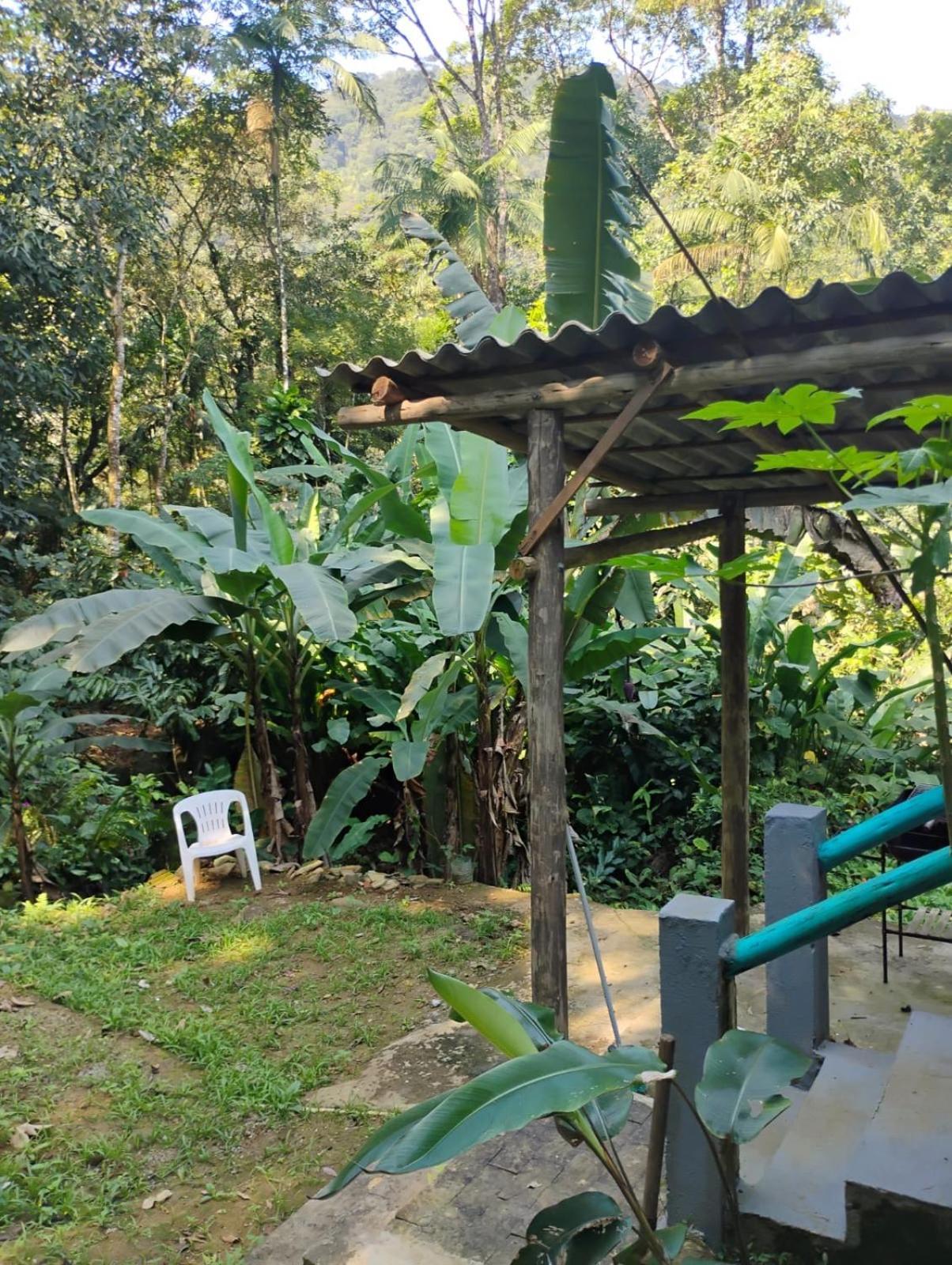 Da Mata